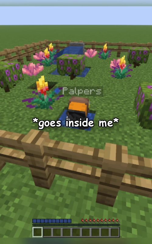 HIDING AS WATER #foryoupage #Minecraft #fyp #mcyt #foryou 