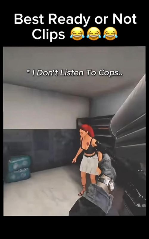#fyp #viral #gaming #readyornot #funny 
