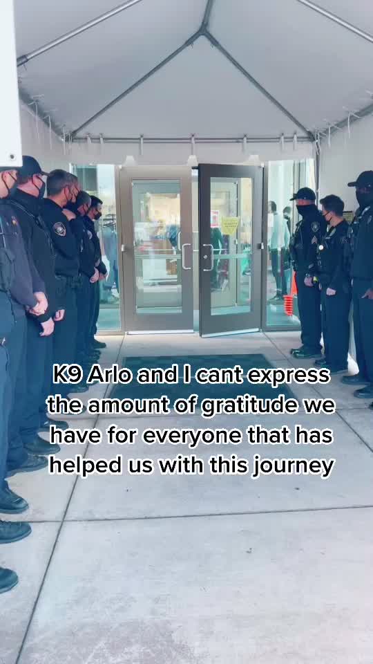We couldn’t of done it without our huge family #arlostrong #fypシ #4yp #trending #viral #k9softiktok #tiktokdogs
