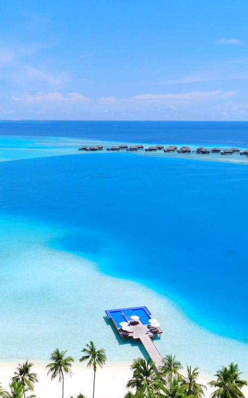 The Maldives is beautiful 😍🏝️ Send this to someone you would like to escape there with! Follow @theresortscollecion to discover the best luxury resorts and most unique destinations 🌍 Contact us 📧 for more information or to book your trip to the Maldives with the most competitive rates  Save this post to plan your future trips to the Maldives.  #maldives #luxurytravel #honeymoondestinations #travelinspiration