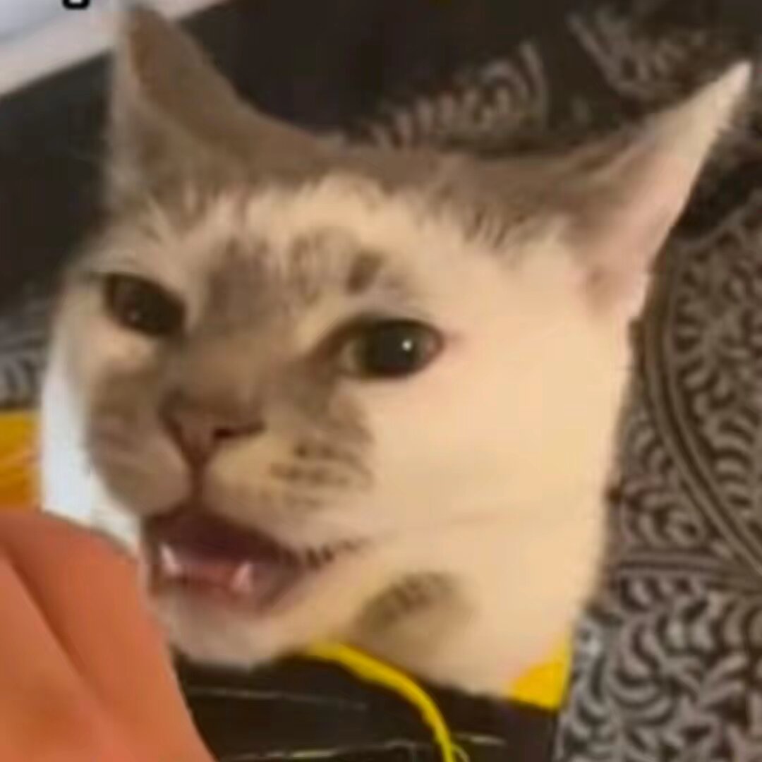 TailBitPets