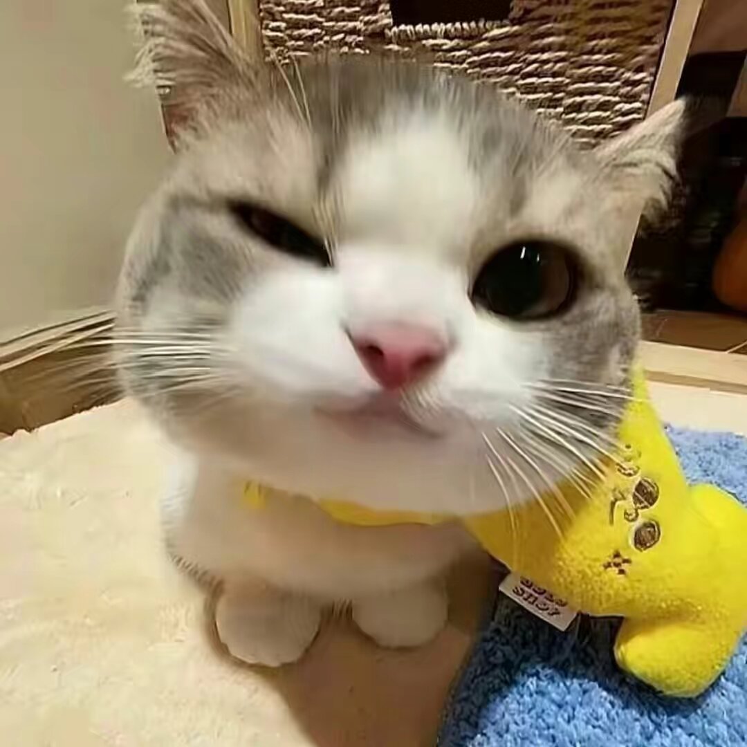 ViralPick