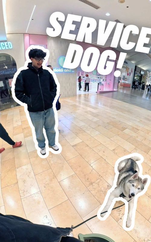 Comment “help” if you want your dog to be like Neeko! 🐕 