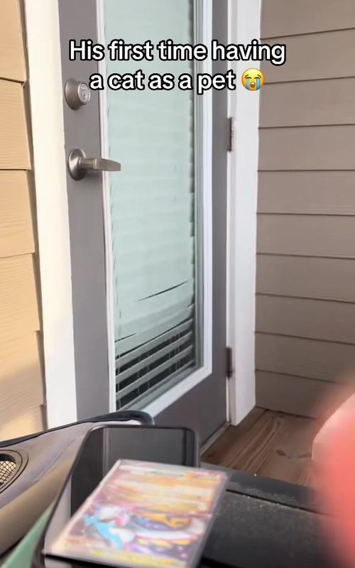 Bro just wanted the door open 😭 (🎥:@Coco) 