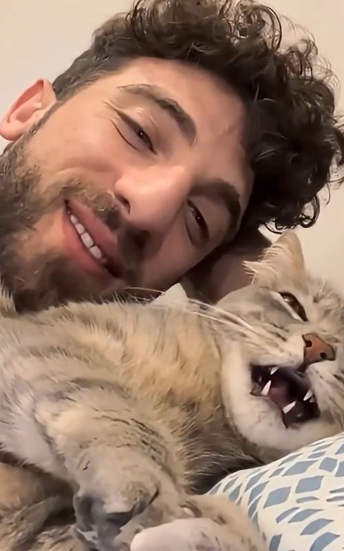 When Your Cat Is Imitating You 🐈 #shorts #cats #catsoftiktok #cat #meow #funnycat #viral #cutecat #kitty #kitten #animal #funnyanimals #fyp