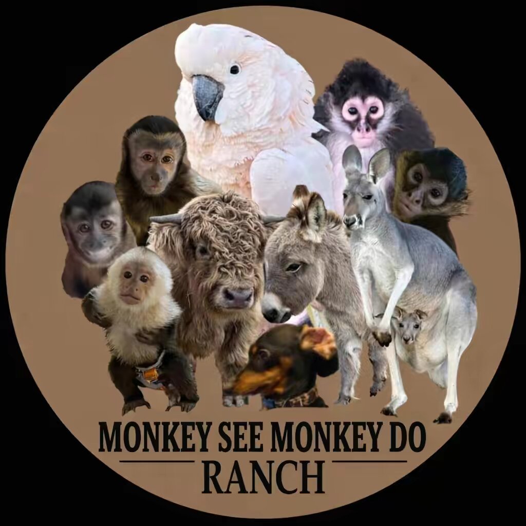 MonkeySeeMonkeyDoRanch