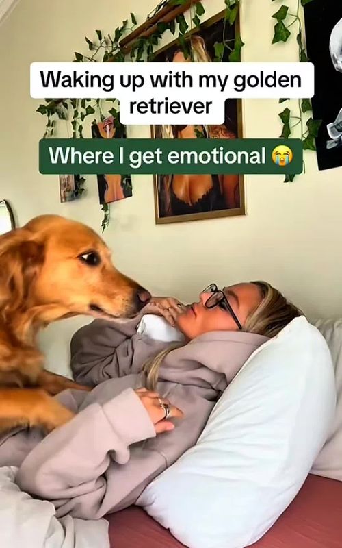 sincere feelings of dogs❤️ #animals #cute #pet #cat  #dog #foryou #typ