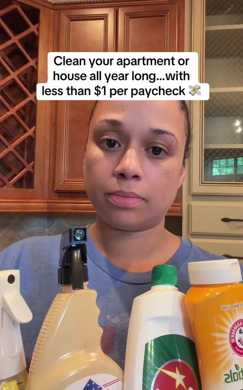You can clean and disinfect your apartment or house all year long for around $20 🧼 This is for basic surfaces—higher-end or specialty surfaces may need specific products. Less than $1 per paycheck. #cleaningtips  #budgetcleaning #firstapartment #newhome #cleanhome 