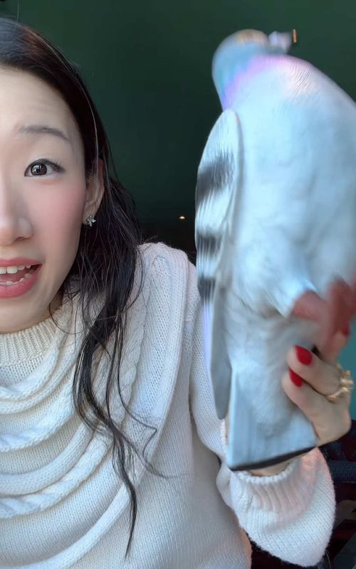Crashout purchase 😀😀😀 #jwanderson #fashiongirl #luxuryfashion #fashiongirly #birdbrain 