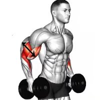 Fitness Tips