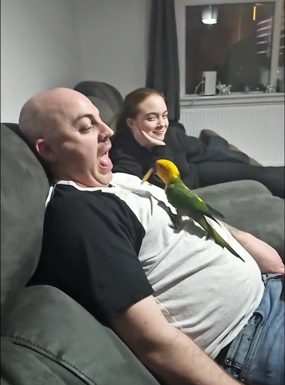 Smart parrot🦜#foryou #fypシ #funnyvideo #usa🇺🇸 #bird #parrot #parrotsoftiktok 