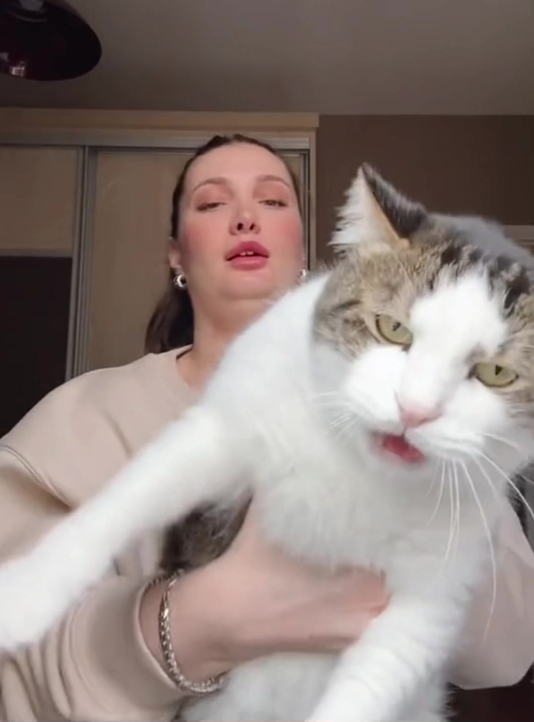 Her reaction was NOT what I expected 😳🐱🤣#cat #fouryoupage #funny #fypシ #pets #usaus #foryou 