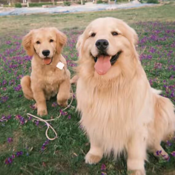 Nene & Charlie