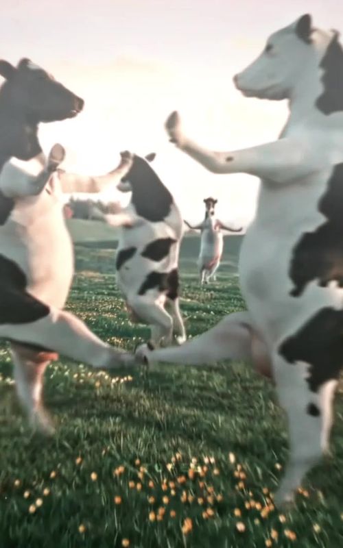 🐮‼️WAKE UP ITS THE FIRST OF THE MONTH‼️🐮 || #firstofthemonth #wakeupitsthefirstofthemonth #cows #meme #tofeefilmss 