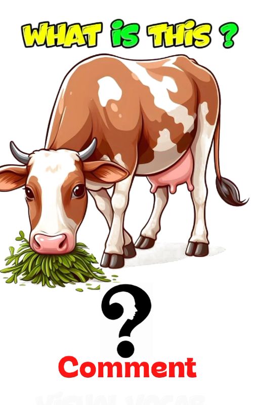 guess the animals for kids brain teaser . #LearnOnTikTok #englishforkids #MindGame #quiz #animals 