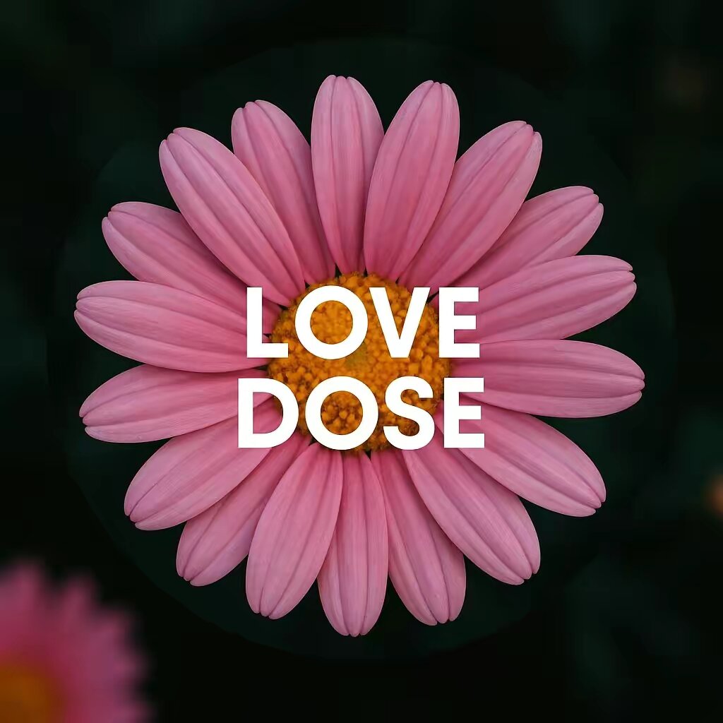 Love-Motivation❤️