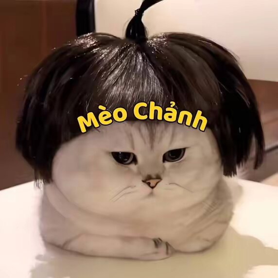 Mèo Chảnh