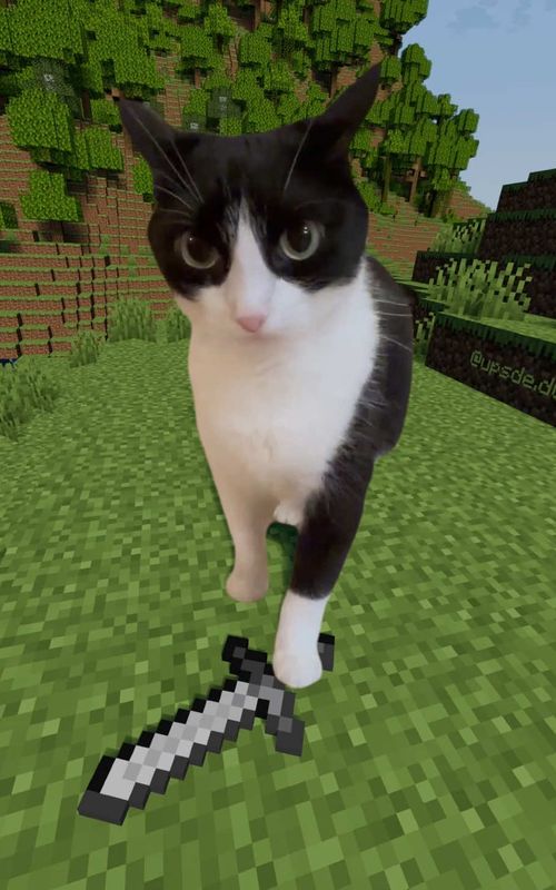original: @lilochipie - edit: me #MineCraft #cat #fyp #memecut #funnytiktok 