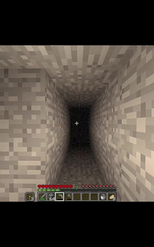 I Wasn’t Alone In The Dark… Part 5 #gaming #trending #Minecraft #minecraftmemes #swayle 