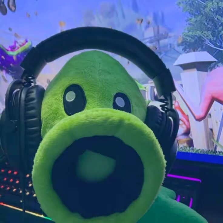 ️peashooterXDD