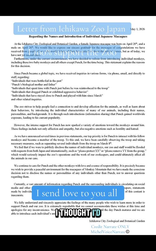 I support the Zoo’s letter wholeheartedly and also support everyone who has their own feelings and opinions. What I don’t support is aggression and hostile behaviour towards the zoo and my page . Everything can be approached the right way and done in a respectful peaceful and personal manner! When you do things you feel passionate about it’s ok as long as you do it sensibly and kindly. I welcome everyone to my page so we can share Baby Punch and his family together and advocate for him as a world wide Team. Together we can all move mountains, apart and not united we can’t do much. So united we should all stand for Baby Punch and his family and the zoo. I send so much love to you all ❤️❤️ Credit Narrate ONLY  MichelVoiceNarrate©️