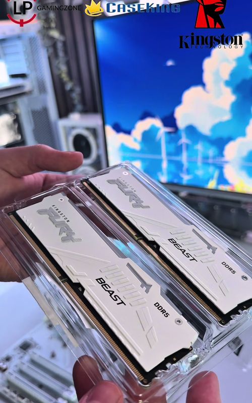 The Technical Gold💰💰 Thanks to @Kingston Technology for the RAM for this Project! #ddr5setup #gamingpcbuild #pcproject #kingston #cleansetup 