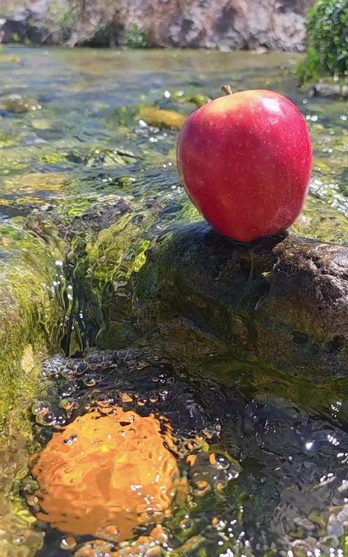 apple #apple 