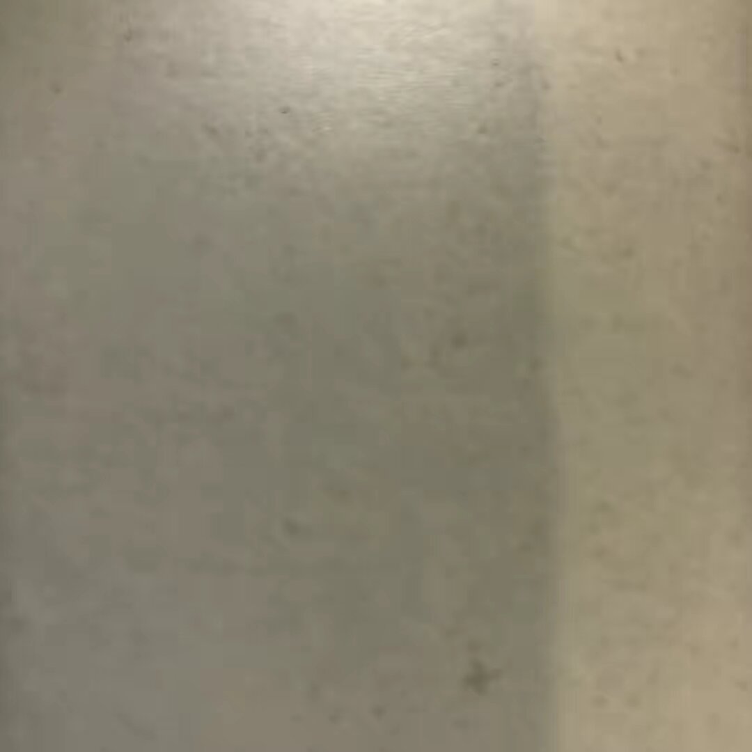 dog_funny001
