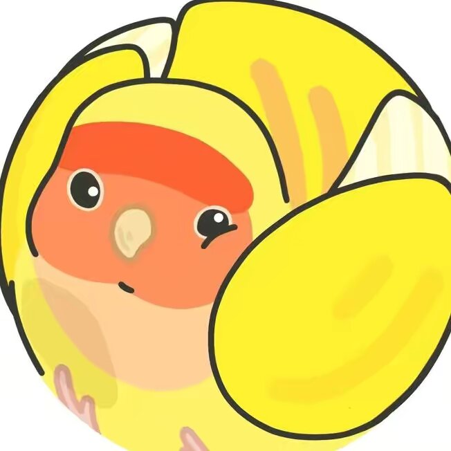 Cute cute rose