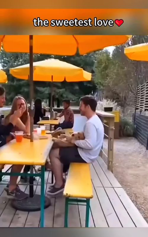 The dog senses the overflowing love from its owner 😭 #dogsoftiktok #usa #cute #sweet 