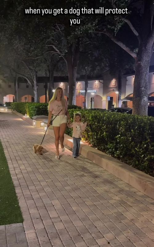My tiny bodyguard 😂 #funnyvideo #dogs #doglife #funny @TesoroUSA 