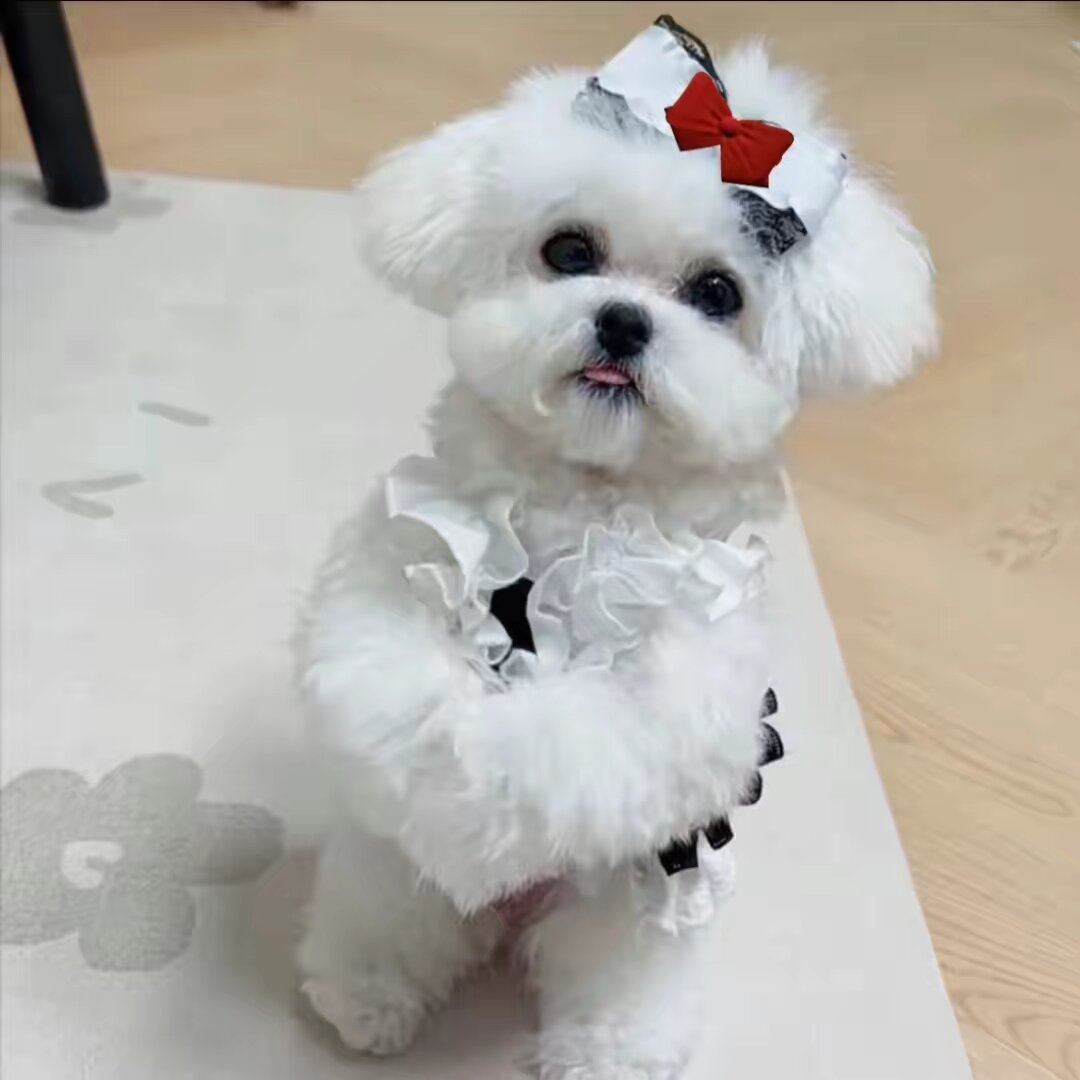 PetsGoodis