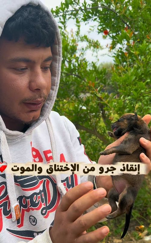 مهم جداً 🚷‼️برشى ناس تلقي جراء يابسين و مهمش يتحركوا 🥶 يمشي في بالهم ماتو 💔 و هوما مازالو ما ماتوش 🤕بالاهي ثبتوا مليح 🙏🏻  #sauvetageanimal #rescueanimals #الرحمة #rescue #الرحمة_بالحيوان 