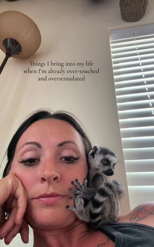 📍suffering the consequences of my own actions #lemur #exoticpets #bossmareenergy 