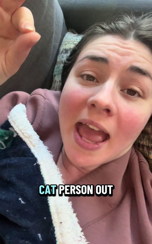 All you need to know, cat ppl WORSHIP cats 🐈 #catladylife #catlady #catpeople #catpeopleoftiktok #cattok 