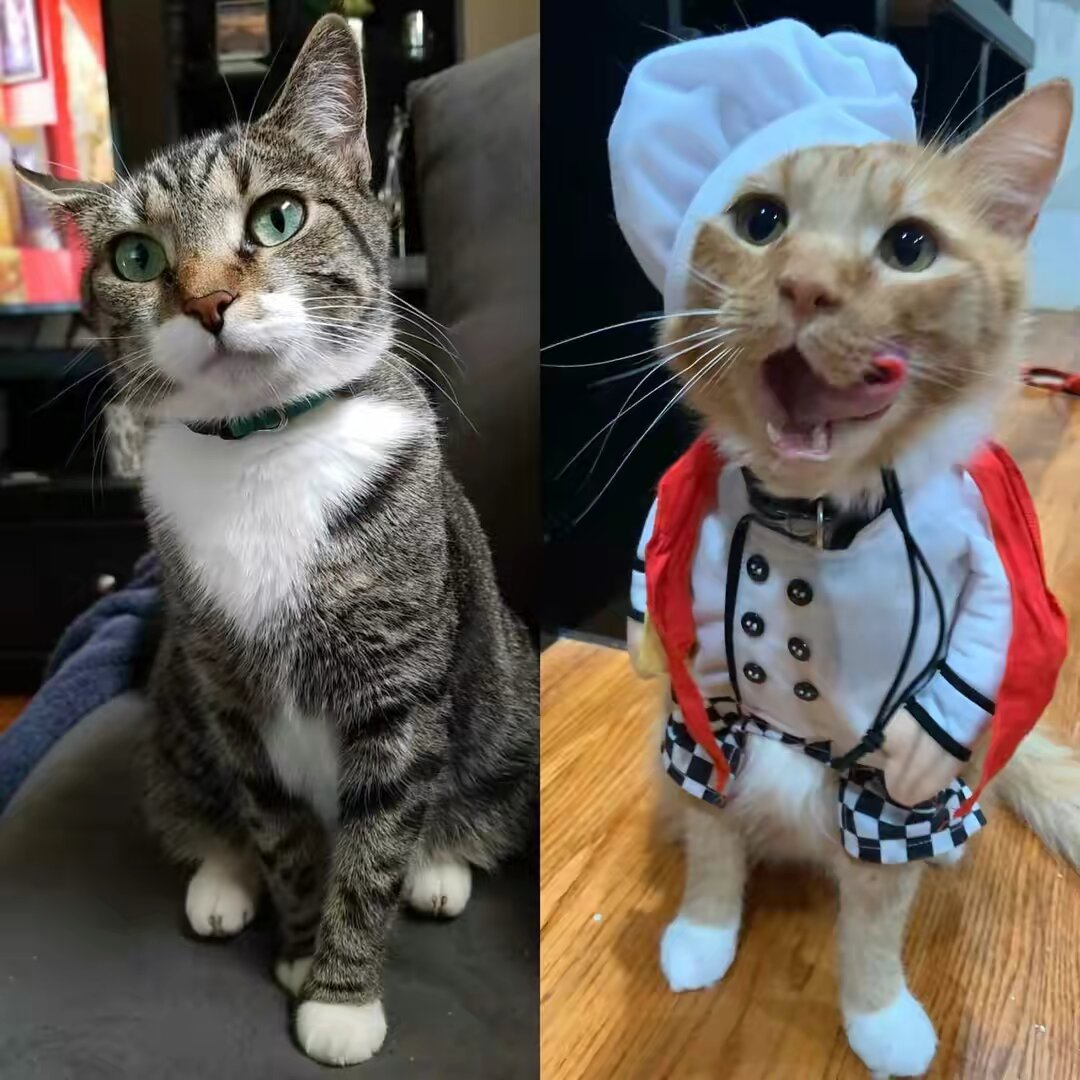 Jaspie&Leo