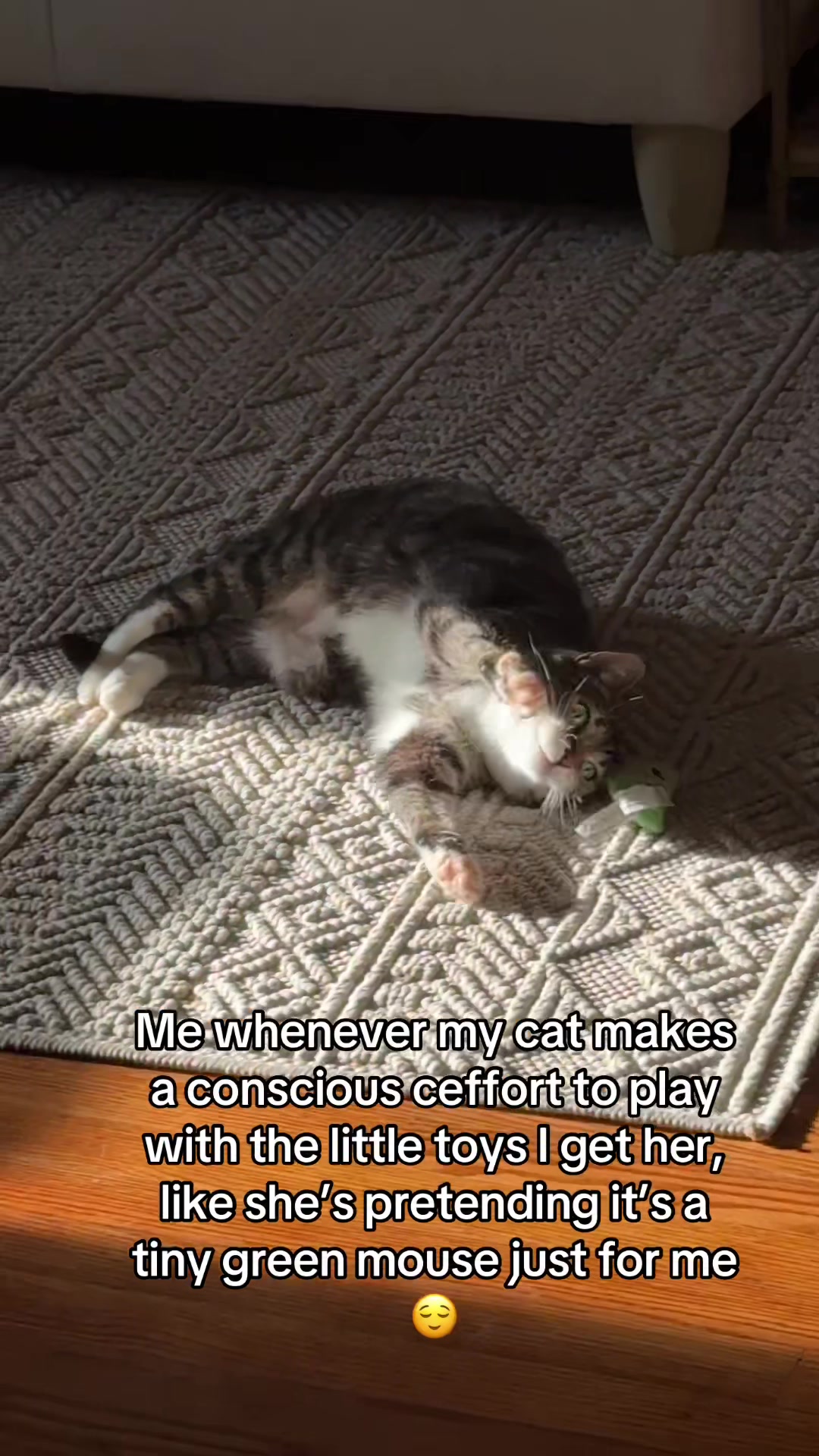 I really want to get her a robotic mouse, just don’t know which one to get her 🥹 #cats #viral #trending #cattok #catloved 