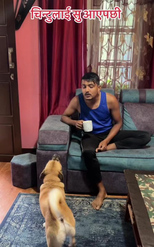 बाहिर लैजा , सु आयो भनेको रैछ 😁@CHINTU #chintu #petlover #chiplebahun #animalcare #doglovers 
