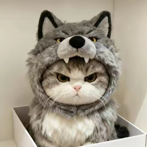 jdrysxfh