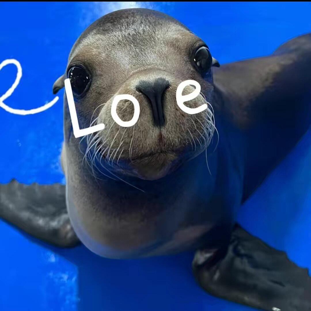 SealionReggie