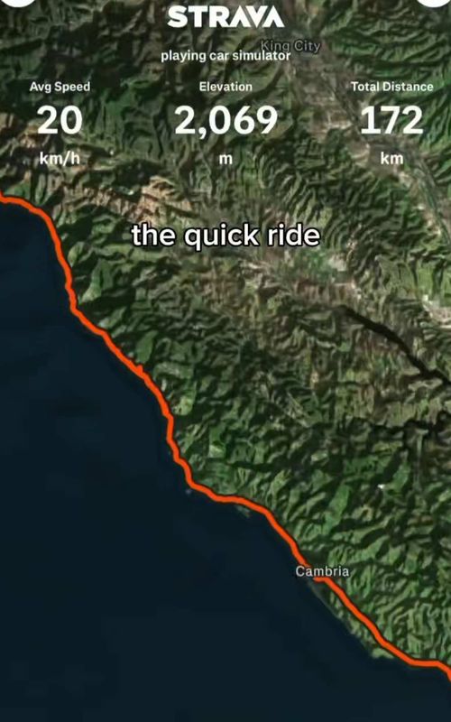got caught up thinking anout trees tbh 🌲🤭👍 #cycling #bikepacking #fyp