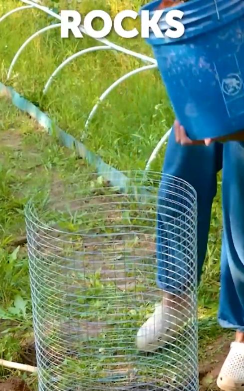 Budget-Friendly Setup with Simple Materials #DIY #ideas #tips #cement 