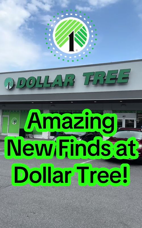 Amazing New Finds at Dollar Tree! This Dollar Tree had so many incredible new finds today! This Dollar Tree has really been stepping it up lately and I’ve been loving it! #dollartree #dollartreefinds #dollarstore #dollartreecommunity #dollarstorefinds @Dollar Tree 