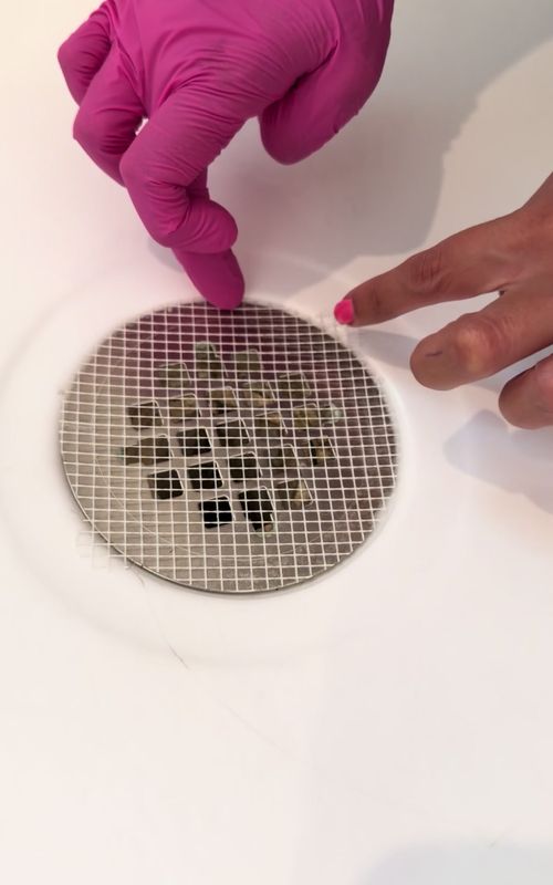Have you ever tried these drain covers? They are a life saver to prevent your drain from getting clogged! #clean #cleanwithme #CleanTok #showerdrain 