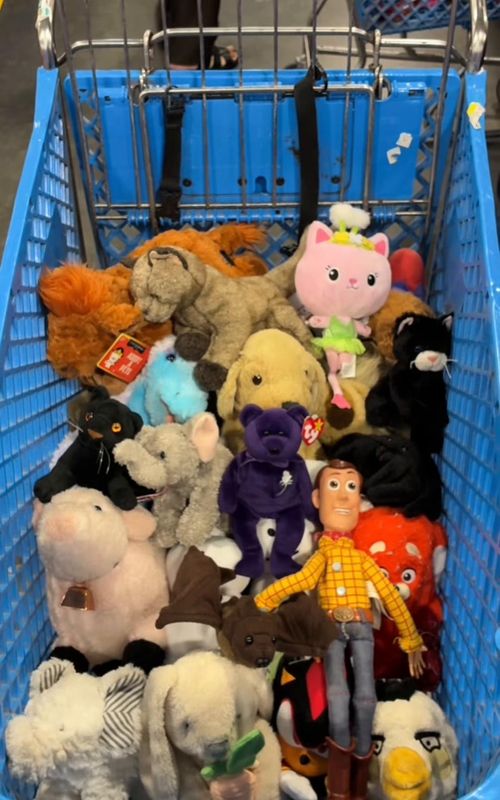 What’s your favorite? #plush #thrifthaul #thrifting #goodwillfinds #toyhaul 