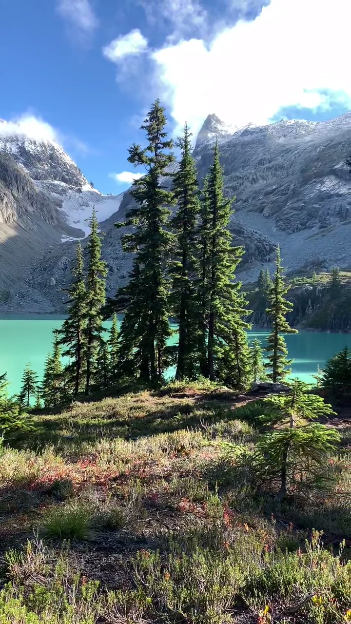 #fyp #nature #Hiking #camping #pnw #peace #Love