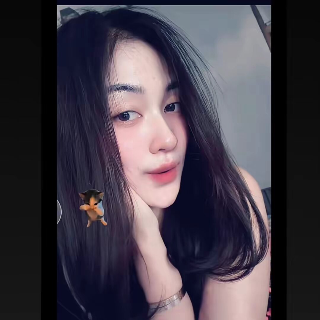 Dec_Noviee