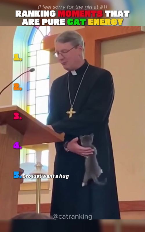 Ranking moments that are pure cat energy 😭🐱#catranking #cat #funnycats #catmemes #catshorts  