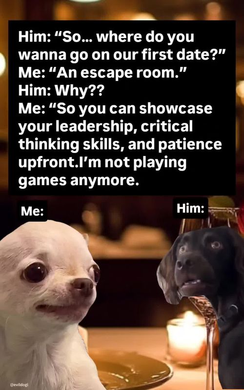 😂🤣 Daily Memes (dark & relatable) 🐶 EVIL DOG — Official Meme Page 😈 Pure Satire — just jokes 👕 EVIL DOG Merch: hoodies, tees & more ⬇️ Shop & Link in my Bio: evildogofficial.com
