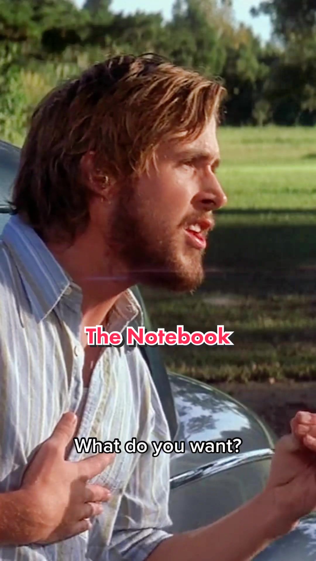 The Notebook - What do you want? #movie #film #scene #cinema #movieclips #movies #films #filmclips #moviescene #thenotebook #ryangosling #rachelmcadams #romance #romantic #Love #Relationship #classic #fyp #foryou #foryoupage #xyzbca #viral #trend #trending #meme 